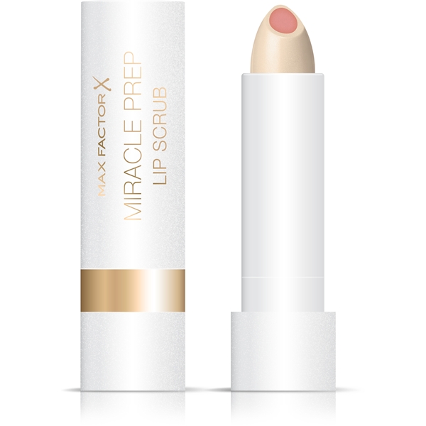 Max Factor Lip Scrub & Moisture