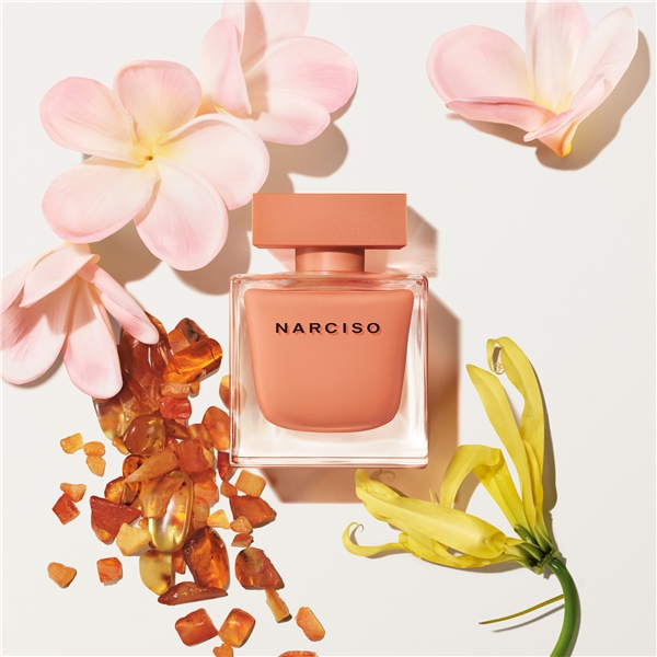 Narciso Ambrée - Eau de parfum (Bild 6 av 7)