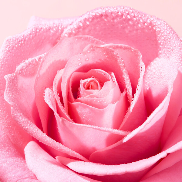 Very Rose Radiance Face Scrub (Bild 3 av 4)