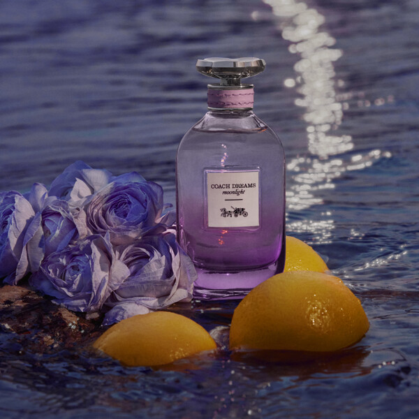 Coach Dreams Moonlight - Eau de parfum (Bild 3 av 5)