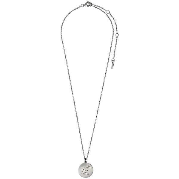 Aquarius Horoscope Necklace (Bild 2 av 2)