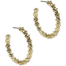 88061-07 PFG Sparkling Hoop Earrings