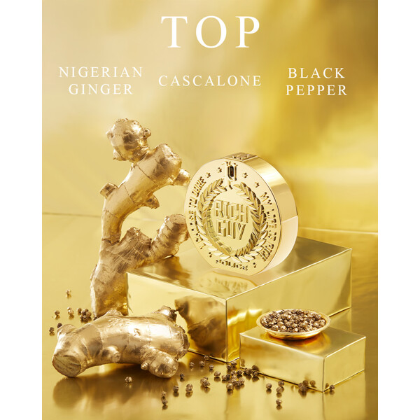 Police Rich Guy - Eau de toilette (Bild 2 av 6)