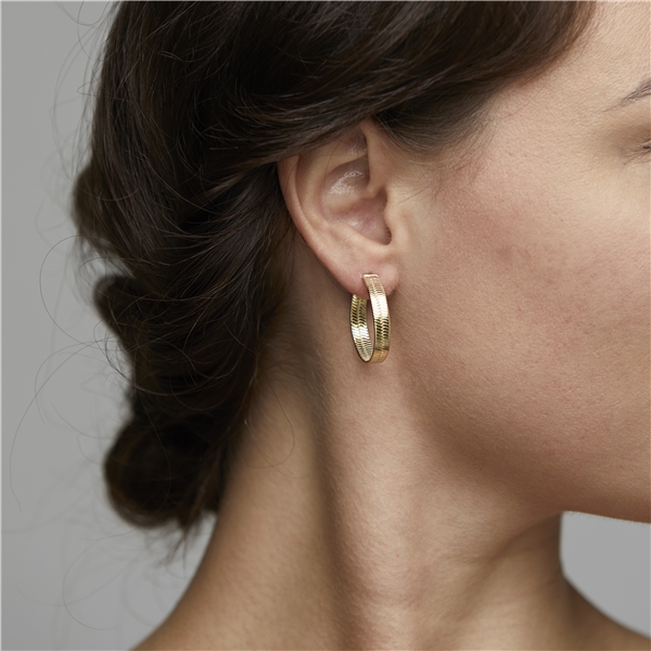 Noreen Earrings Gold Plated (Bild 2 av 2)