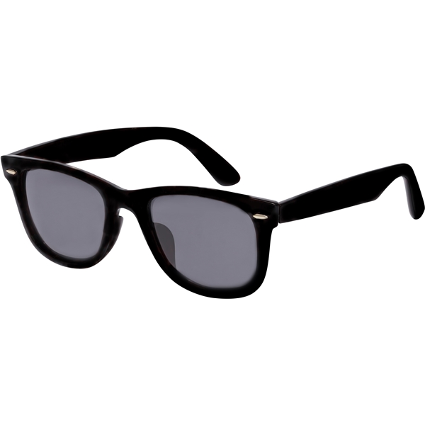 75221-9103 REESE Wayfarer Sunglasses (Bild 1 av 3)