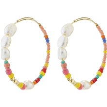 28231-2823 AUBRIE Hoop Earrings