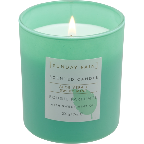 Sunday Rain Aloe & Sweet Mint Candle (Bild 1 av 5)