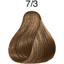 7/3 Hazelnut