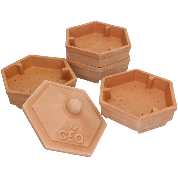 Terradisiena Sprouter Terracotta (Bild 3 av 3)