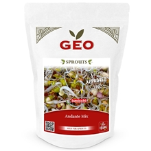 Andante Groddfrömix EKO 400g