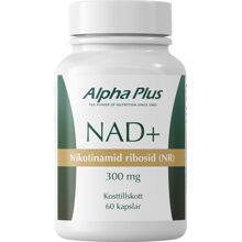 Alpha Plus NAD+