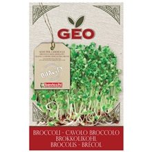 13 gram - Broccolifrö EKO