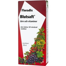 Floradix Kräuter Blutsaft 250 ml