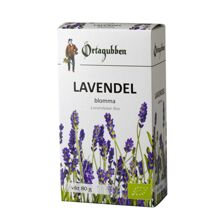 Örtagubben Lavendel Blomma