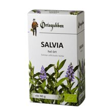 Örtagubben Salvia Hel Ört