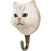 Perserkatt