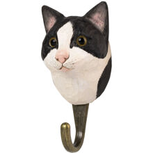 Svartvit Katt