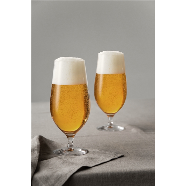 Beer Lager Ölglas 4-pack (Bild 4 av 5)