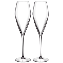 LB Atelier champagneglas Prosecco 2-pack 2 st/paket