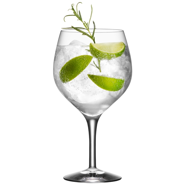 Gin och Tonic 4-pack (Bild 3 av 7)