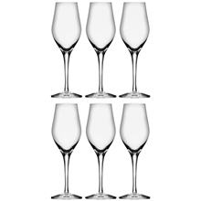 Sense Champagne/Drinkglas 6-pack