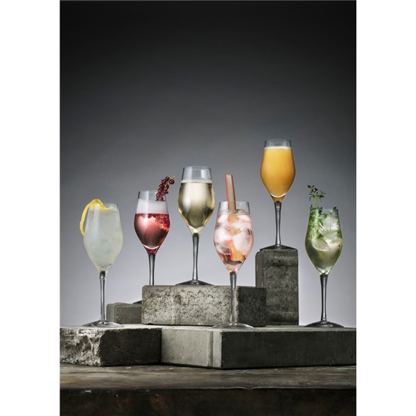 Sense Champagne/Drinkglas 6-pack (Bild 2 av 6)