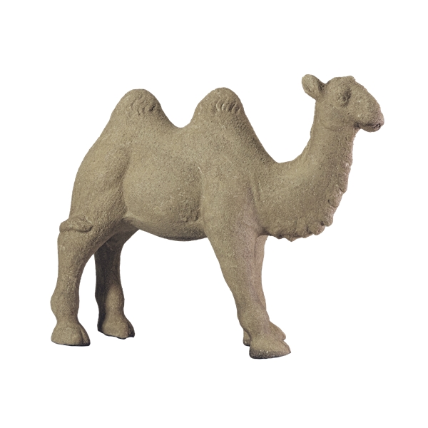Day Camel standing (Bild 1 av 3)