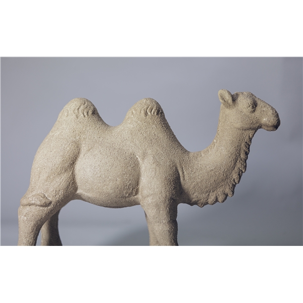 Day Camel standing (Bild 2 av 3)