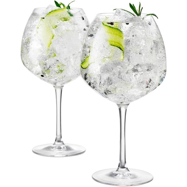 Rosendahl Premium Gin glas 93cl 2-pack (Bild 1 av 8)