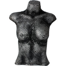 Female Torso