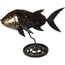 Jack Fish