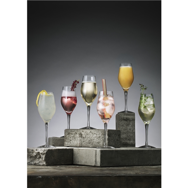 Sense Champagne/Drinkglas 2-pack (Bild 4 av 4)