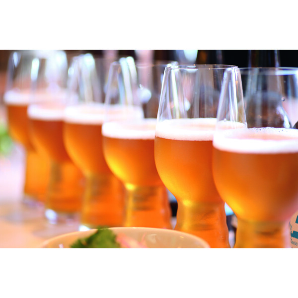 Craft Beer Glasses IPA Glass 54 cl (Bild 3 av 6)