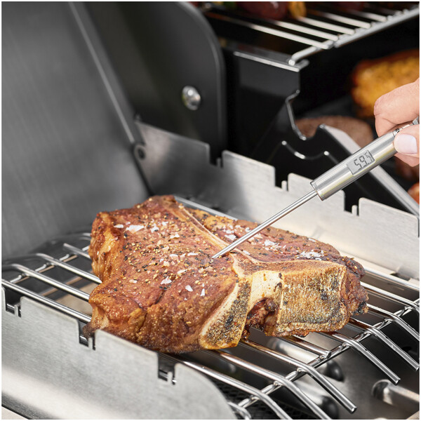 Termometer Gourmet 22 cm (Bild 2 av 3)