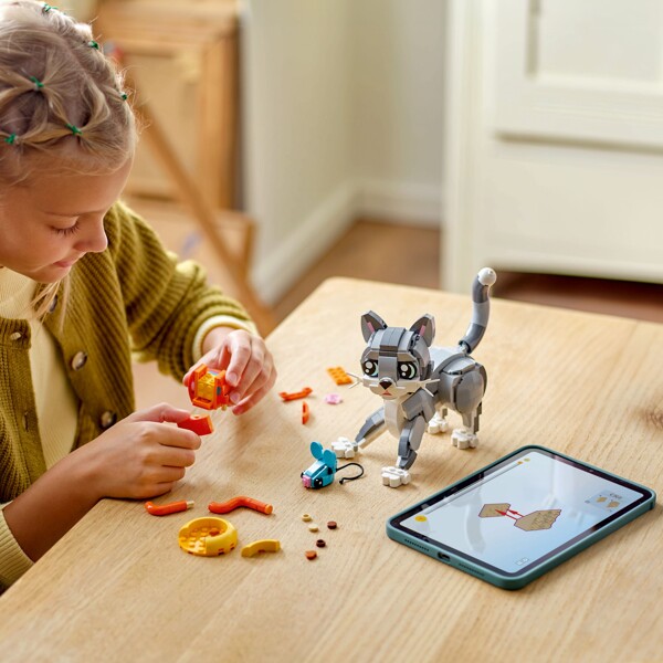 31163 LEGO Creator Lekfull Katt (Bild 4 av 6)