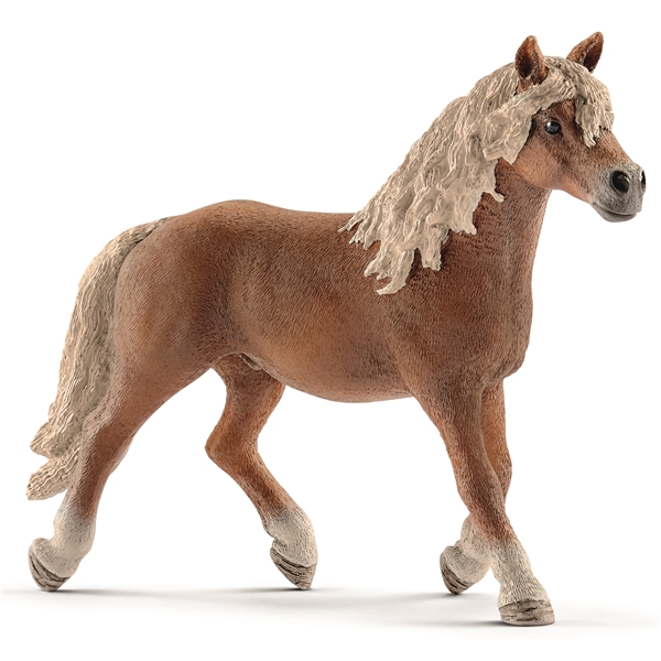 Schleich 13813 Haflingerhingst