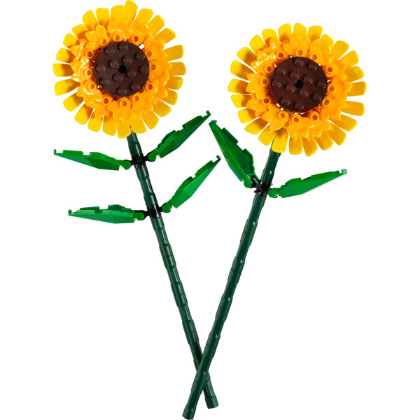 40524 LEGO Botanicals Solrosor (Bild 3 av 5)