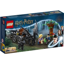 76400 LEGO HP Hogwarts Vagn & Testraler