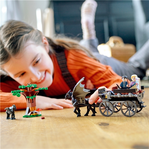 76400 LEGO HP Hogwarts Vagn & Testraler (Bild 5 av 6)