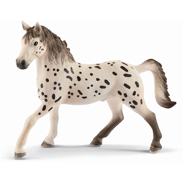 Schleich 13889 Knabstrupper Hingst