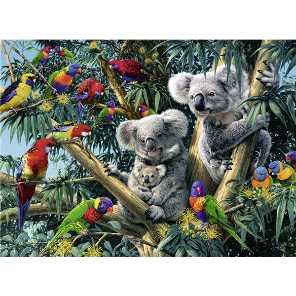 Pussel 500 Bitar Koalas in a Tree (Bild 2 av 2)