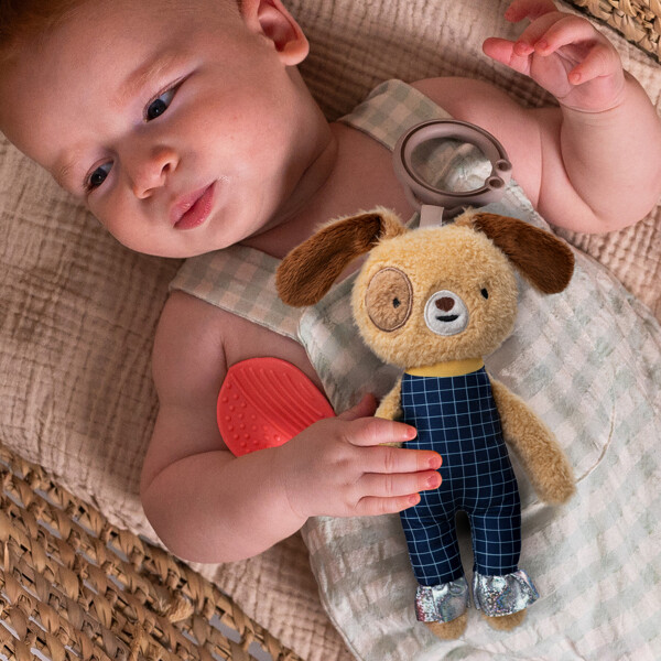 Taf Toys Daniel Activity Toy (Bild 2 av 4)