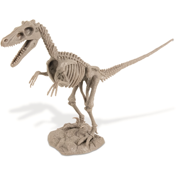 Dino Excavation Kit Velociraptor (Bild 2 av 5)