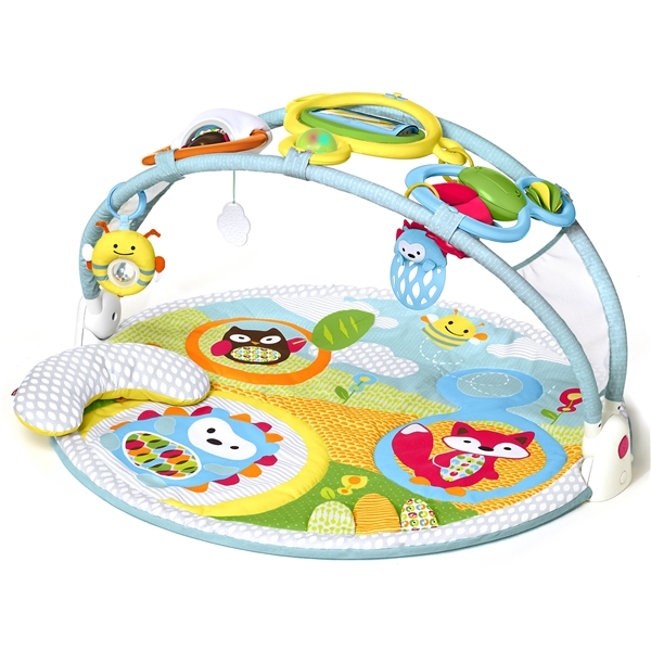 Skip Hop Babygym Explore & More (Bild 1 av 9)