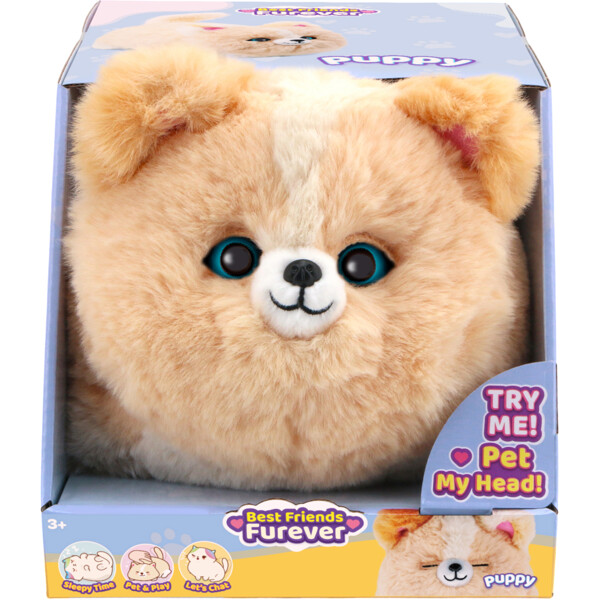 BFF Puppy (Bild 1 av 6)