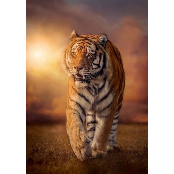 Pussel 1500 Bitar Tiger (Bild 2 av 2)