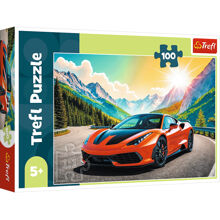 Pussel 100 Bitar Trefl A Race Against Time