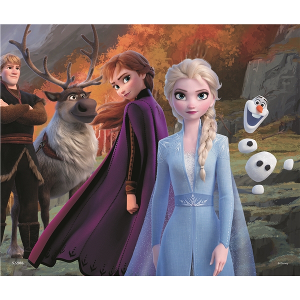 Askpussel 25 Bitar Frozen Frost (Bild 2 av 2)