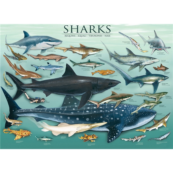 Pussel 1000 Bitar Sharks (Bild 2 av 2)