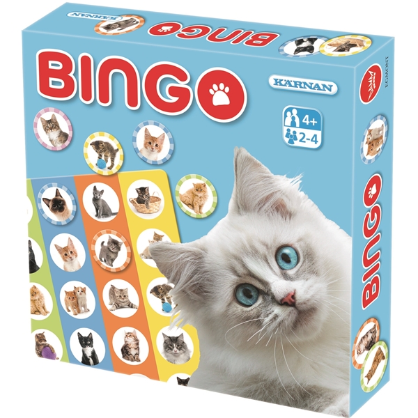Bingo Katter (Bild 1 av 2)